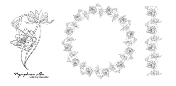 Floral vector wreath with lily flowers. — Wektor stockowy