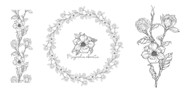 Černobílý Bílá Magnólie Vektorová Ilustrace Botanická Ilustrace Věnec Květin — Stockový vektor