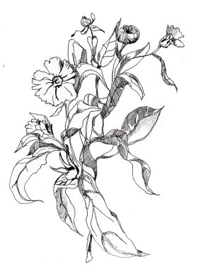 Güzel grafik çiçekler