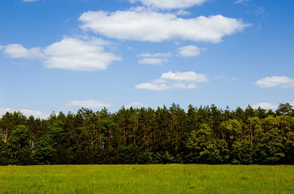 Feld und Wald mähen — Stockfoto
