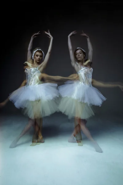 两个经典的芭蕾舞演员 — 图库照片