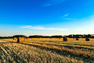 saman alanına alır.