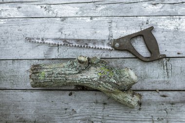 Retro paslı eli gördü