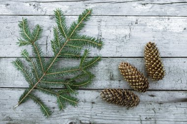 çam kozalakları ve köknar dalı