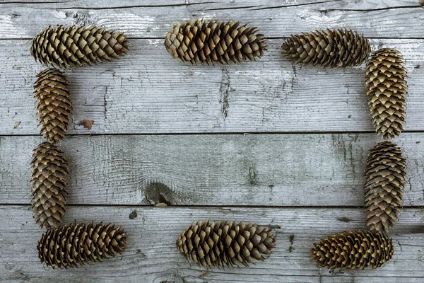 Pine kottar ram — Stockfoto