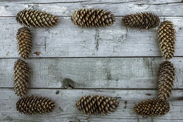 Pine kottar ram — Stockfoto