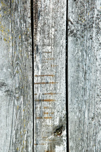 Scânduri de lemn fundal — Fotografie, imagine de stoc