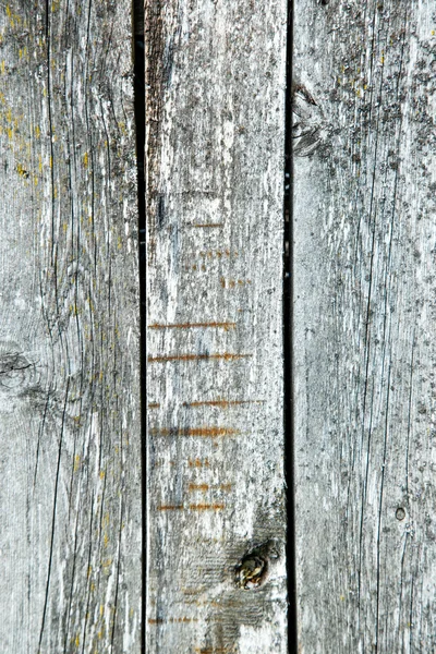 Wooden planks background — Stock Photo, Image