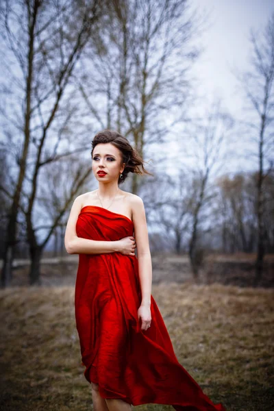 Female folded in bright red silk — Stock Photo, Image