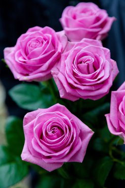 Yeşil zemin üzerine gül çiçek