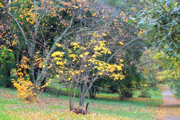Sonbahar parkında şirin bir köşe.