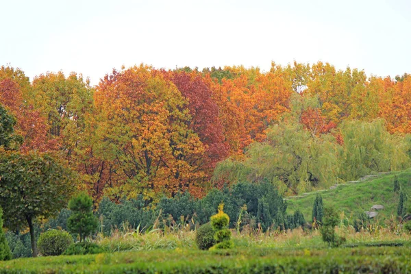 Lindo Rincón Acogedor Parque Otoño — Foto de Stock