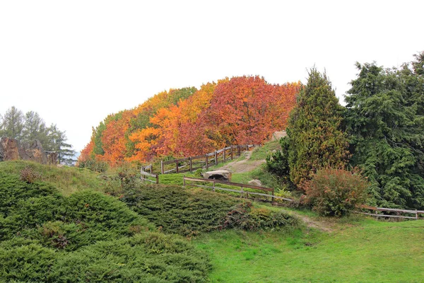 Roztomilý Útulný Koutek Podzimním Parku — Stock fotografie
