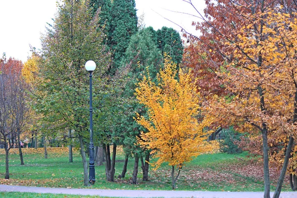秋天公园里可爱舒适的角落 — 图库照片
