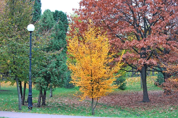 Canto Acolhedor Bonito Parque Outono — Fotografia de Stock