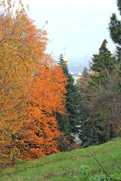 Carino Angolo Accogliente Nel Parco Autunnale — Foto Stock