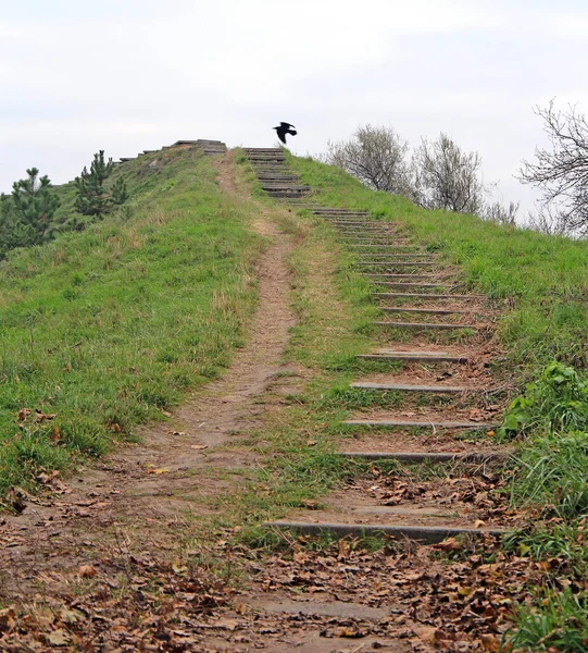 Sonbahar parkında şirin bir köşe.