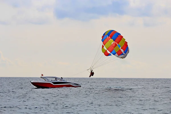 Lovers Extreme Sports Parachuting Sea — Stock Photo, Image