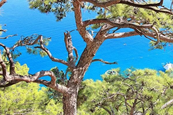 Vista Del Mar Mediterráneo Desde Una Montaña Turquía —  Fotos de Stock