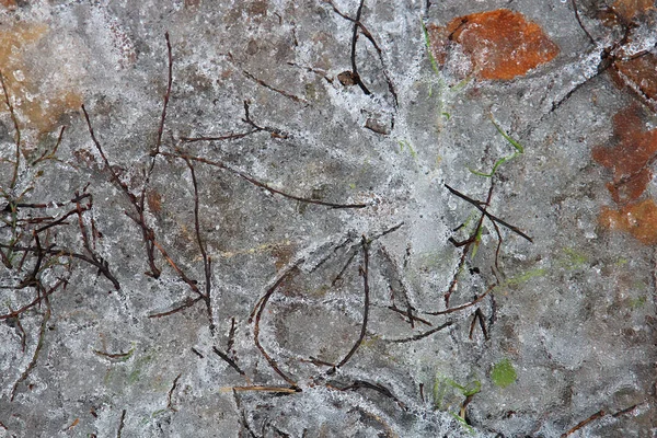 Givre Sur Herbe Après Première Neige — Photo