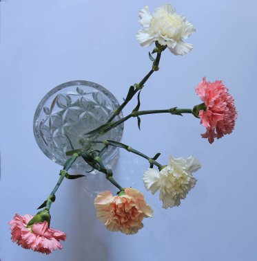 Bayram için bir buket karanfil.