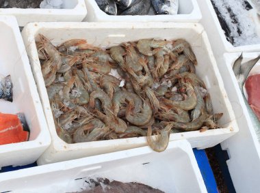 Taze deniz ürünleri ticareti