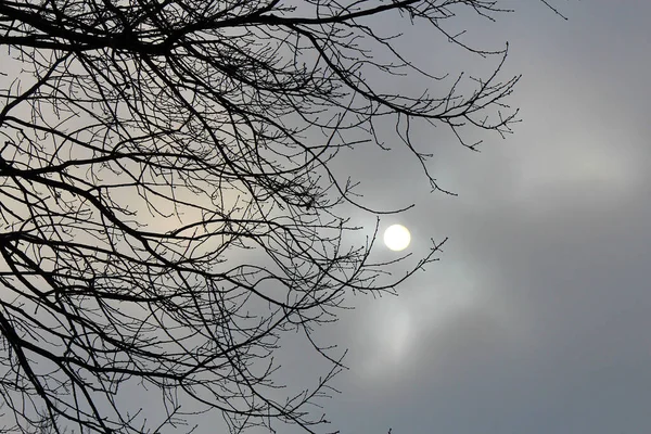 Λαμπερός Ήλιος Λάμπει Μέσα Από Θυελλώδη Φθινοπωρινά Σύννεφα — Φωτογραφία Αρχείου