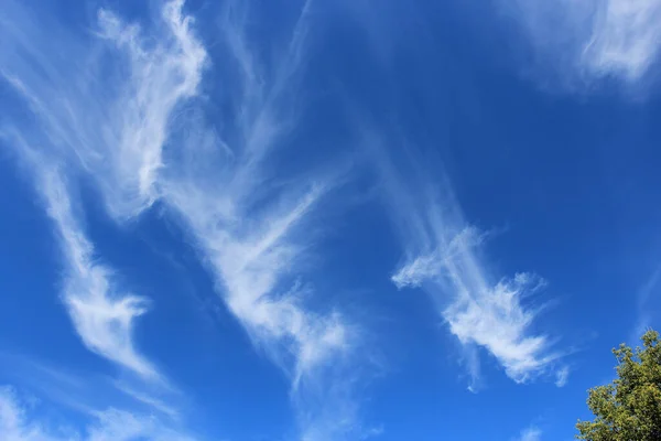 Vista Panorámica Del Cielo Verano Con Nubes Inusuales — Foto de Stock