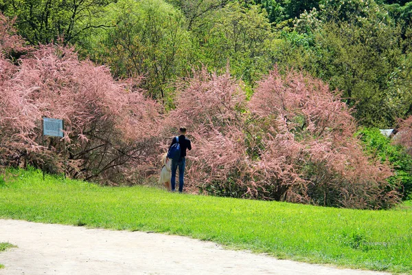 Floración Una Hermosa Flor Exótica Jardín Botánico —  Fotos de Stock