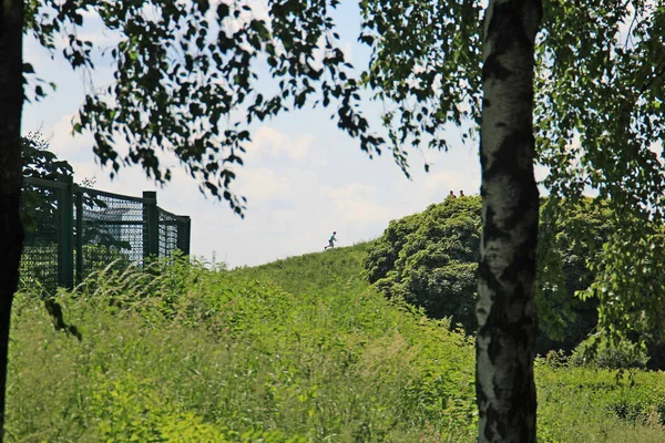 Spaziergang Einer Malerischen Ecke Des Botanischen Gartens — Stockfoto