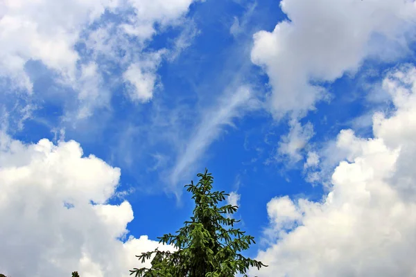 Nuages Bizarres Dans Ciel Bleu Été — Photo