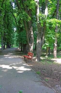 Şehir parkında sessiz bir köşe