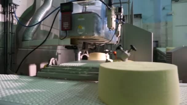 Cheese on conveyor — Stock Video