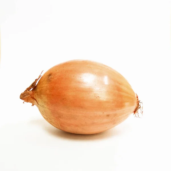 Fresh Brown Onion Bawang Bombay Isolated White Background — Stock Photo, Image