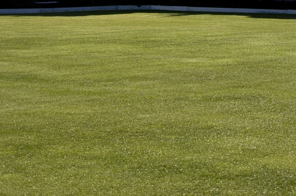 Green lawn for background — Stock Photo, Image