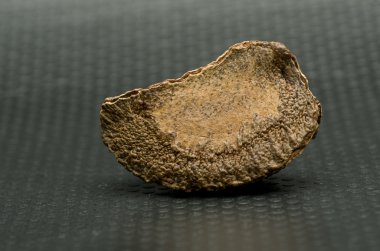 Brezilya cevizi siyah arka plan üzerine izole. 