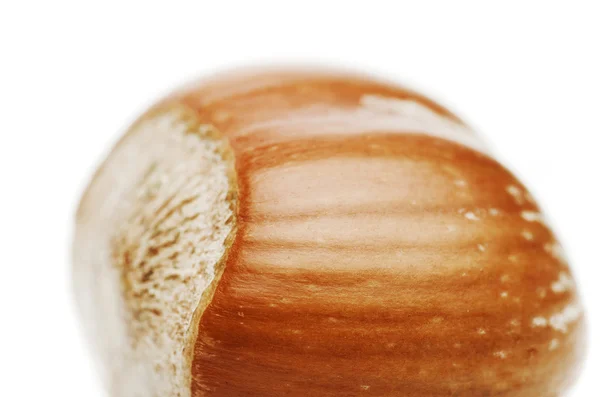 Nocciola isolata su fondo bianco. Con spazio di riflessione e copia . — Foto Stock