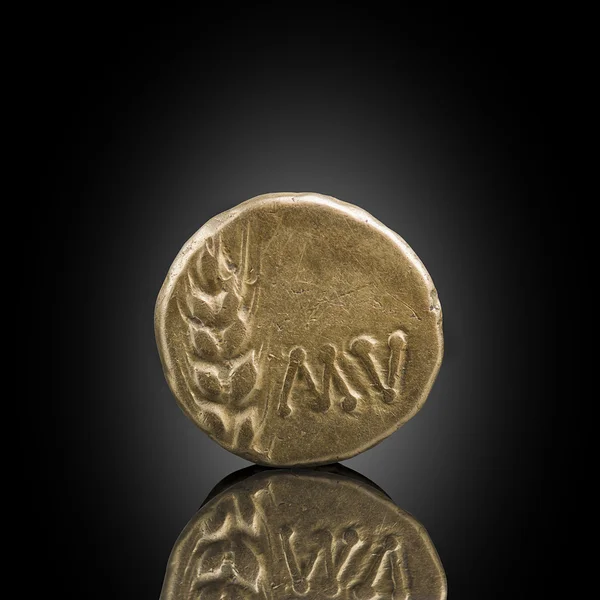 Celtic altın stater. Eski Celtic sikke kulak tahıl, cam, metal dedektörü tarafından hayat yumulun bulundu yansıtan siyah maruz gösterilen. İngiltere.