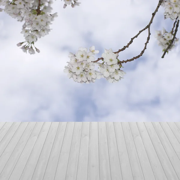 Mesa vacía con fondo de paisaje de árboles florecientes, para plantilla de visualización de productos — Foto de Stock