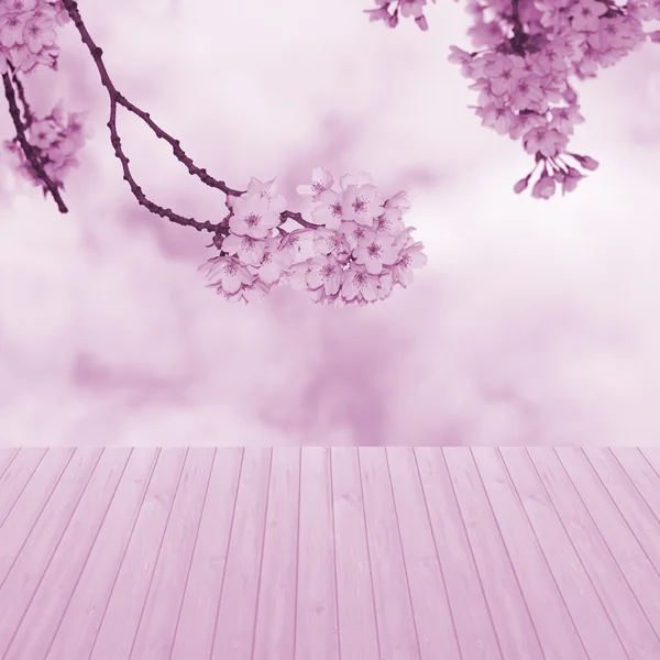 Tomt perspektiv trä över suddig, blommande träd med bokeh bakgrund, för produkt displayen montage — Stockfoto