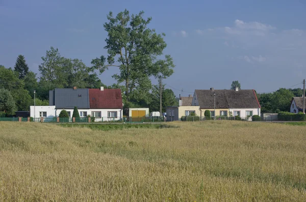 Pueblo de Europa y campo de grano. Zona rural. . — Foto de Stock