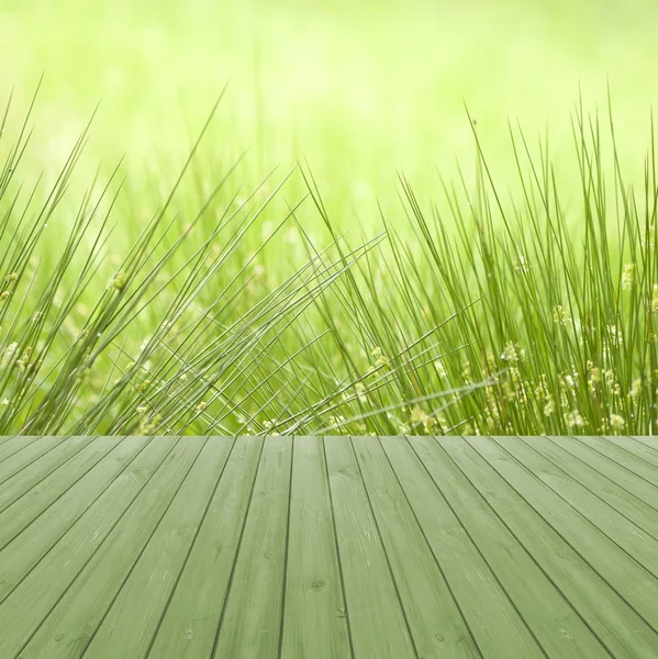 Empty perspective green wood over juncus effusus in rain and sunlight with bokeh background, for product display montage.  UK, summer.