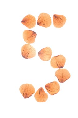 Çok kuru gül yaprakları düzenlenmiş 5 sayısı.