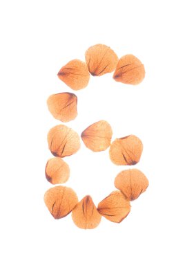 Çok kuru gül yaprakları düzenlenmiş 6 numaralı.