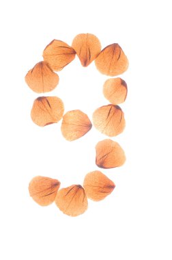 Çok kuru gül yaprakları düzenlenmiş 9 numara.