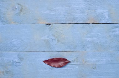 Red leaf-shaped mouth on a  wooden blue background.