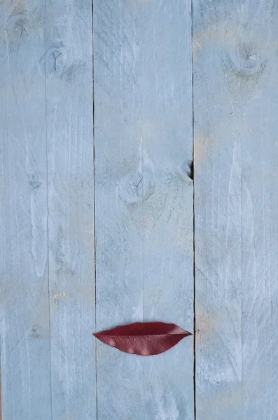 Red leaf-shaped mouth on a  wooden blue background. — Stock Photo, Image