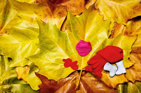Miniaturowe jesień odzież na liście — Zdjęcie stockowe