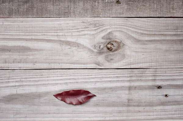 Surrealistic lips on wooden grey background. — Stock Photo, Image