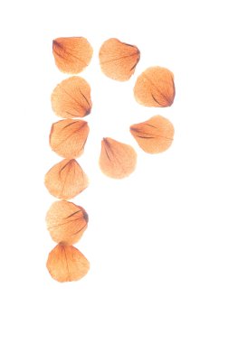 Çok kuru gül yaprakları düzenlenmiş P harfi.